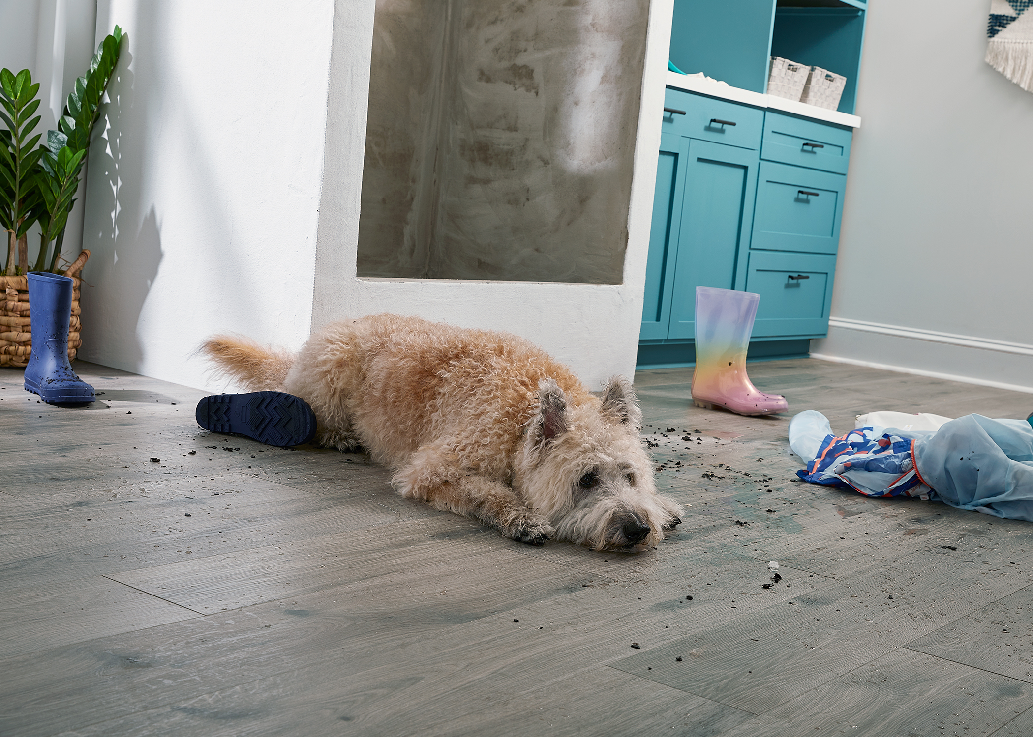 grayish waterproof hybrid resilient floor in laundry room with blonde dog laying on floor covered in muddy water