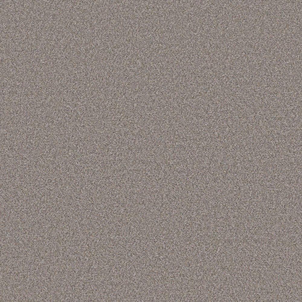 San Ignacio Carpet in Smokey Taupe